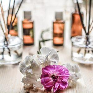 Top Tips On How To Effectively Get Rid Of Unwanted Smells In Your House