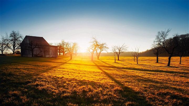 Can You Build a Pole Barn Yourself With These Useful Guidelines