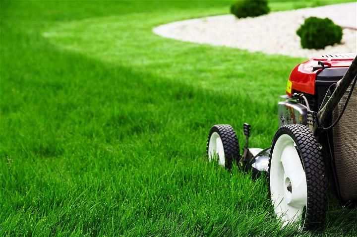 How To Do Lawn Maintenance Easier 1