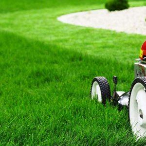 How To Do Lawn Maintenance Easier
