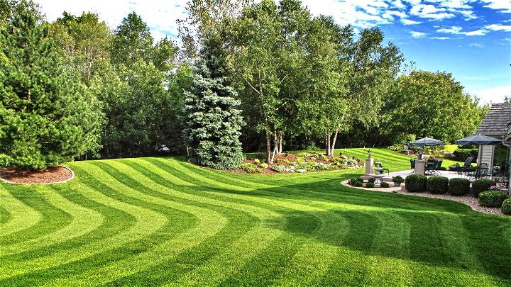 How To Make Lawn Maintenance Easier