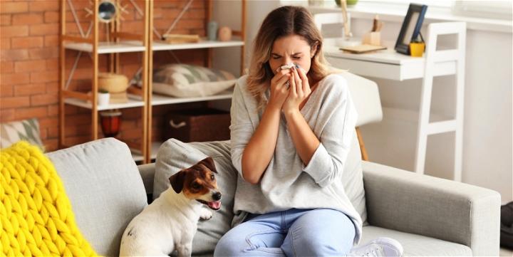 How to Reduce Dust and Allergens in Your Home 1