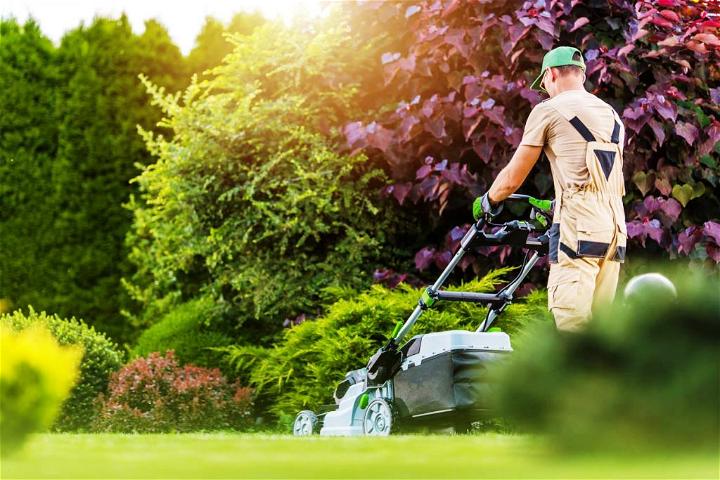 Make Lawn Maintenance Easier