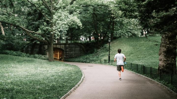 Walking Through the Park