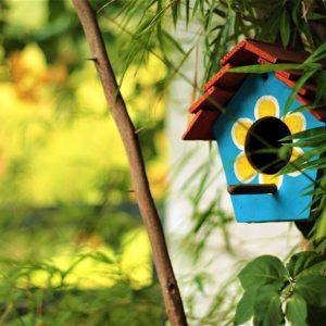 6 Cute DIY Ideas To Decorate Your Garden With