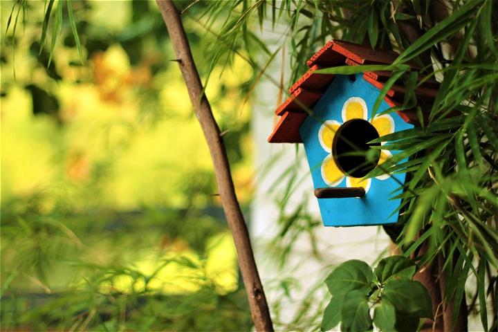6 Cute DIY Ideas To Decorate Your Garden With