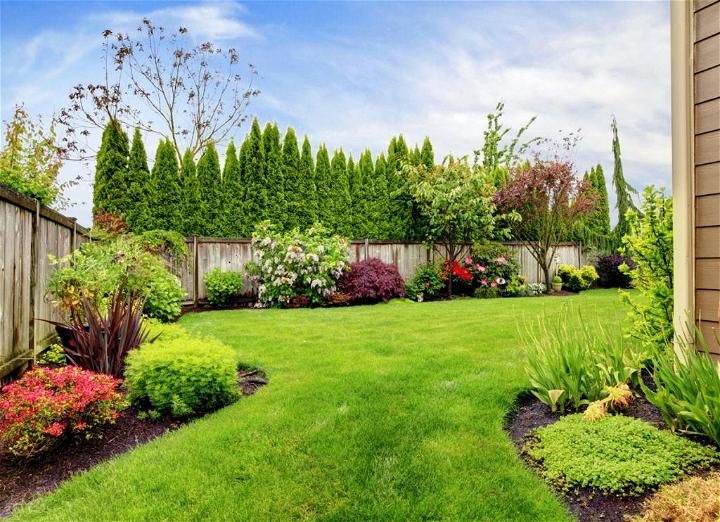 Simple Garden and Yard Maintenance Tips